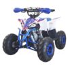 Mini Quad Rebel Máster mini Raptor 110cc