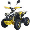 MiniQuad eléctrico Goliat 1200w 36v