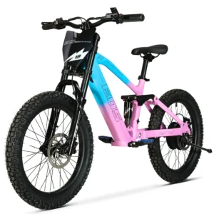 BICI_ELECTRICA_EOS_PRO_R20_750W_48V_ZIZ.RACING_27