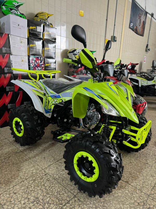 ATV Raptor 2025 Shadow - Imagen 12