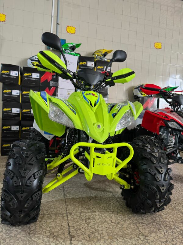 ATV Raptor 2025 Shadow - Imagen 13