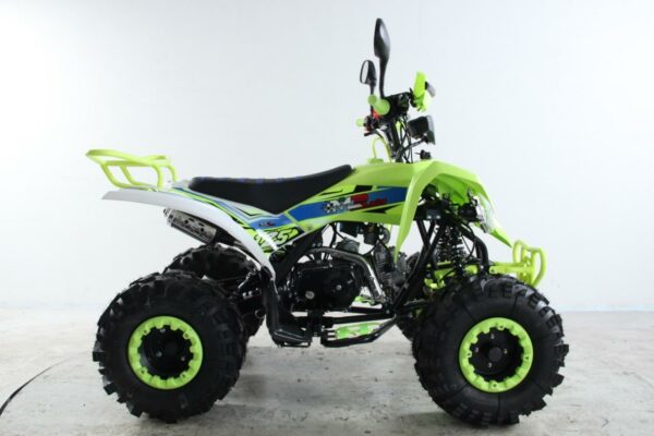ATV Raptor 2025 Shadow - Imagen 6