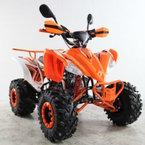 ATV Raptor 2025 Shadow