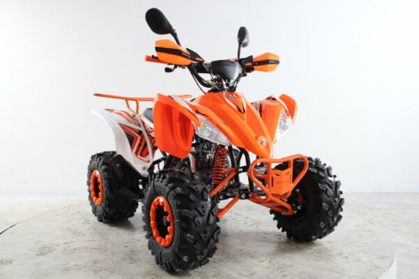 ATV Raptor 2025 Shadow