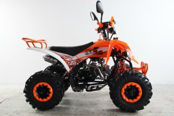 ATV Raptor 2025 Shadow - Imagen 2
