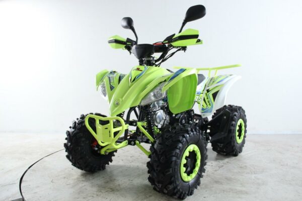 ATV Raptor 2025 Shadow - Imagen 7