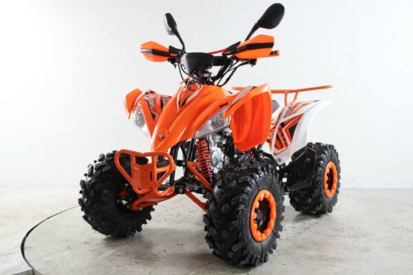 ATV Raptor 2025 Shadow - Imagen 3