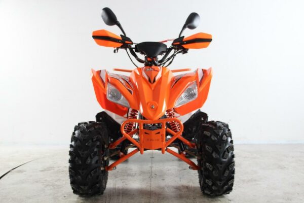 ATV Raptor 2025 Shadow - Imagen 4