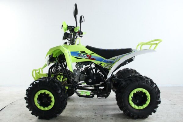 ATV Raptor 2025 Shadow - Imagen 10