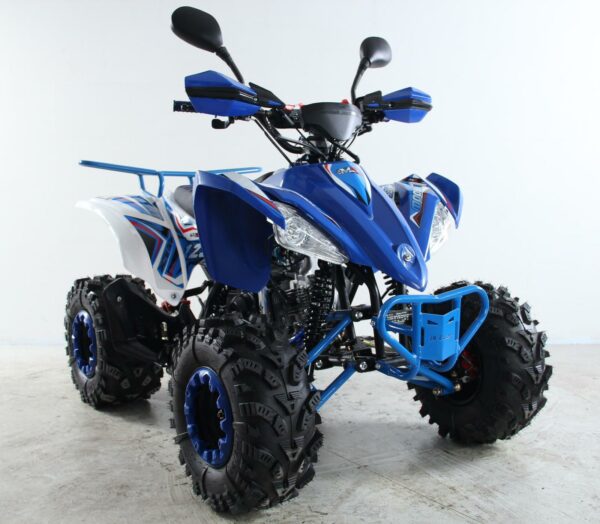 ATV Raptor 2025 Shadow - Imagen 11