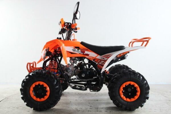 ATV Raptor 2025 Shadow - Imagen 5