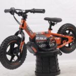 BICI ELÉCTRICA RHZ 12” 150w 24v 8 BICI ELÉCTRICA RHZ 12” 150w 24v (1)