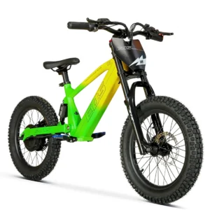 BICIELECTRICAEOS-18550W36V7.5AHZIZ.RACING_20