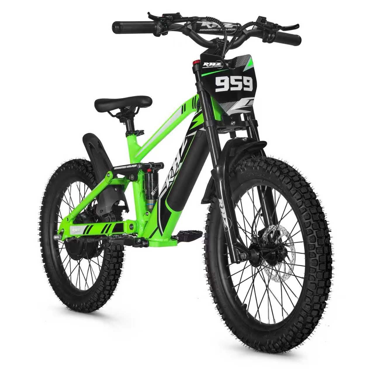BICI ELÉCTRICA RHZ Pro 20” 750w BATERÍA EXTRAIBLE 12 BICI ELÉCTRICA RHZ Pro 20” 750w BATERÍA EXTRAIBLE (2)