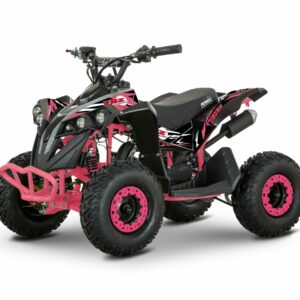 MINI QUAD ELÉCTRICO GOLIAT 1200w 36v RHZ