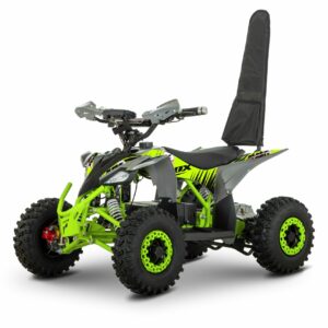 MINIQUAD ELÉCTRICO 48V BRUSHLESS RHZ RAPTOR 2026
