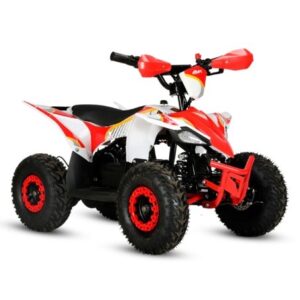 MINIQUAD IMR ELÉCTRICO RAPTOR 1000w 48v