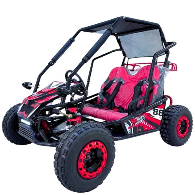 buggy-buggies-buggies niños-buggies adultos